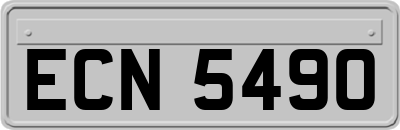 ECN5490