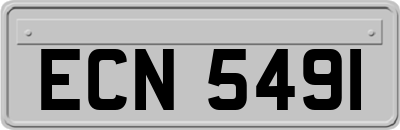 ECN5491