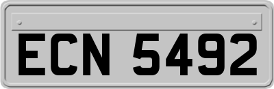 ECN5492