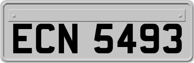ECN5493