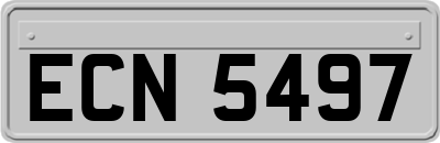 ECN5497