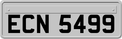 ECN5499