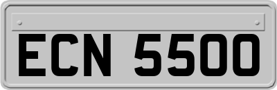 ECN5500