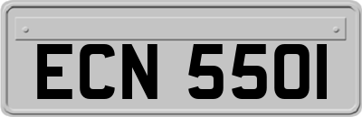 ECN5501