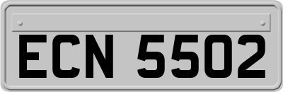 ECN5502