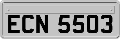 ECN5503