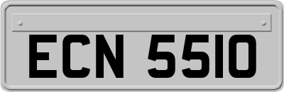 ECN5510