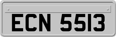 ECN5513