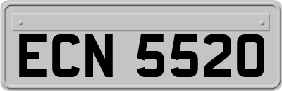 ECN5520