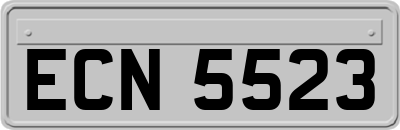 ECN5523