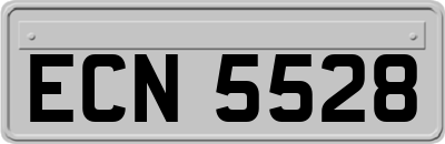 ECN5528