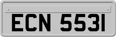 ECN5531