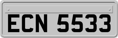 ECN5533