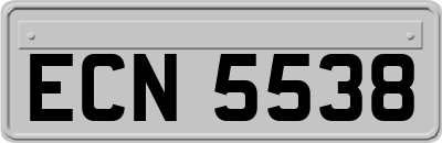 ECN5538