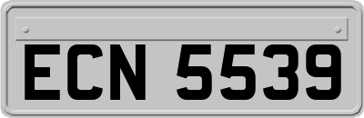 ECN5539