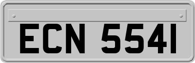 ECN5541