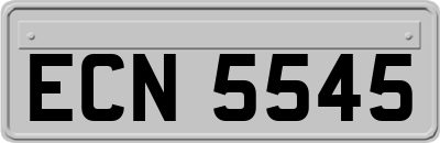 ECN5545