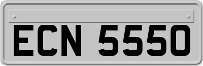 ECN5550
