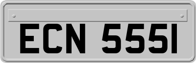 ECN5551