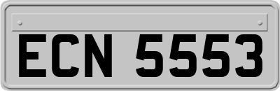 ECN5553