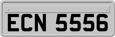 ECN5556