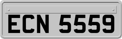 ECN5559