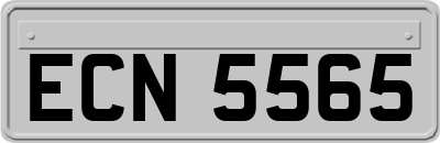 ECN5565