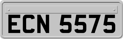 ECN5575