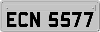 ECN5577