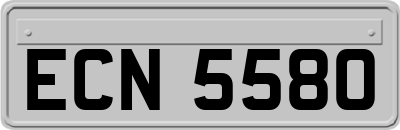 ECN5580