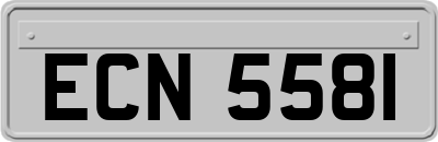 ECN5581