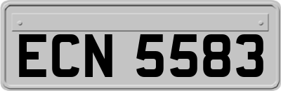 ECN5583