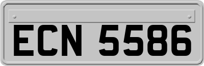 ECN5586