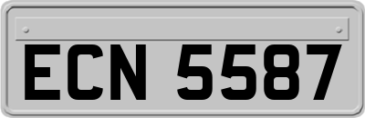 ECN5587