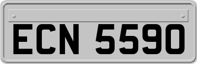 ECN5590