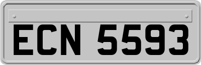 ECN5593