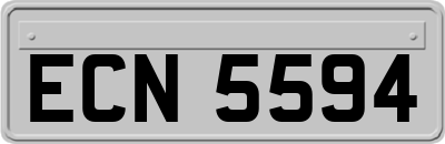 ECN5594