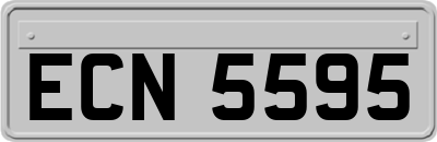 ECN5595
