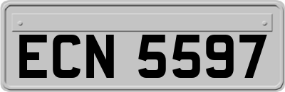 ECN5597