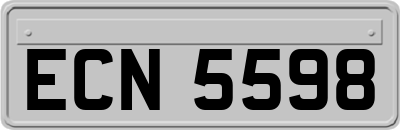 ECN5598