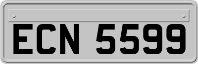 ECN5599