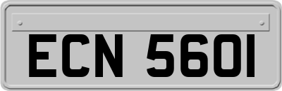 ECN5601