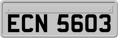 ECN5603