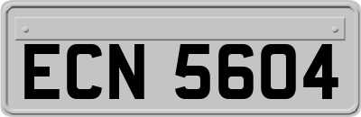 ECN5604