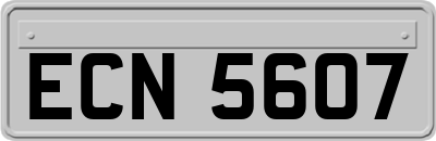 ECN5607