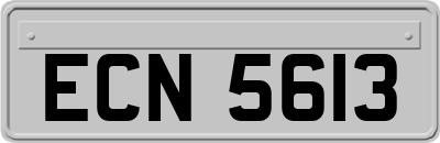 ECN5613