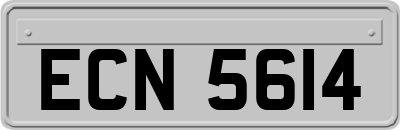 ECN5614