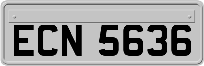 ECN5636