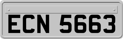ECN5663