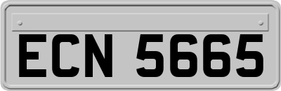 ECN5665